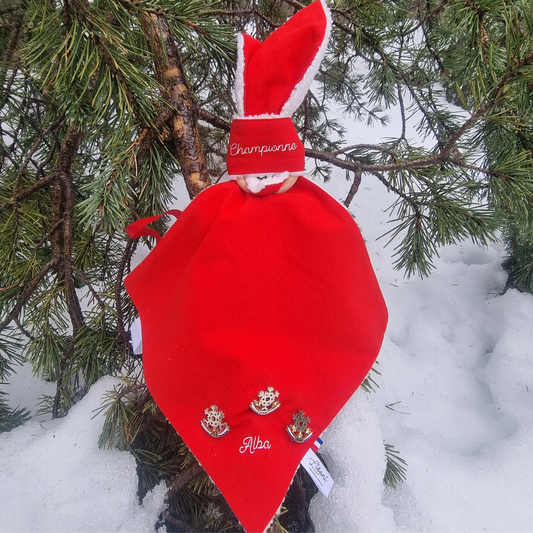 Peluche souvenir ski - Cadeau personnalisé Petite Championne Llooni